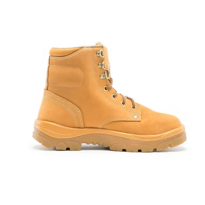 ARGYLE -NS TPU-WHEAT