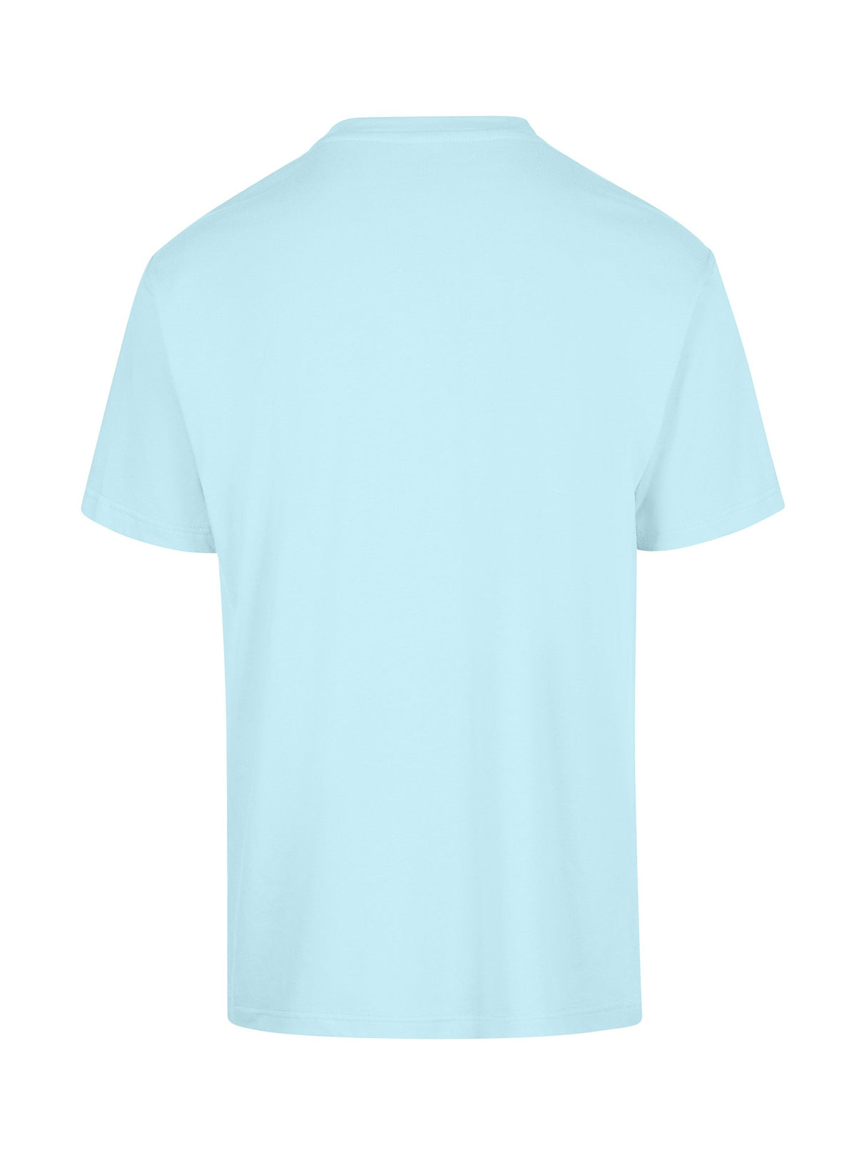 T202HT-Regular Adults Tee