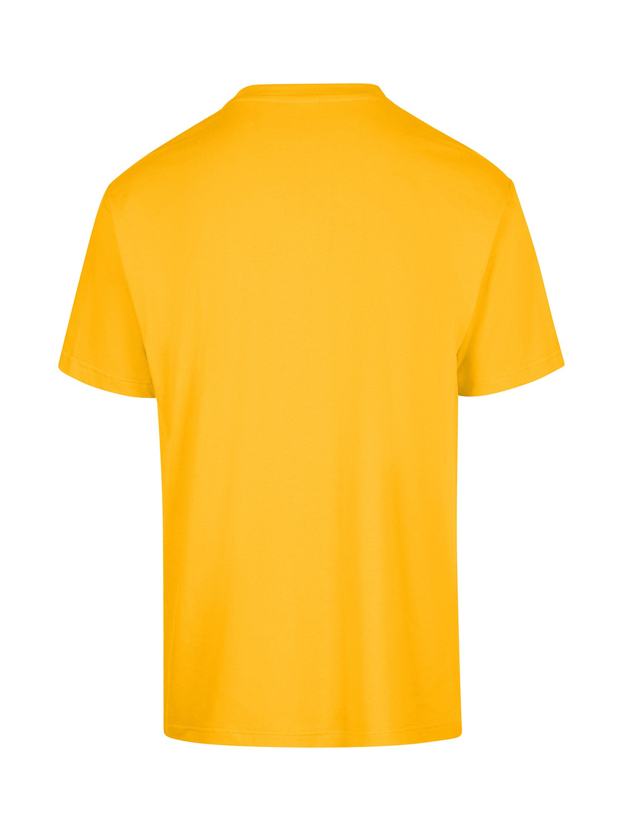 T202HT-Regular Adults Tee