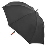 2005-Virginia Umbrella
