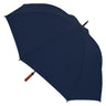 2005-Virginia Umbrella