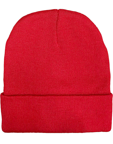 AIW CH61 ROLL UP rPET KNIT BEANIE