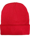 CH61 ROLL UP rPET KNIT BEANIE