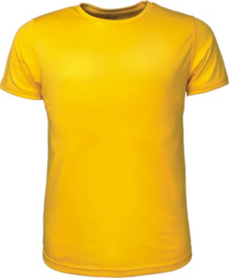 CT1420-Mens Brushed Tee Shirt