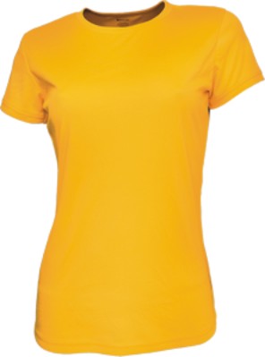 CT1422-Ladies Brushed Tee Shirt